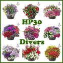 Bild von HP30 XXL Mix divers